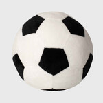Mumbles Zippie Football
